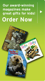 Subscribe to the National Wildlife Federation's children's magazines